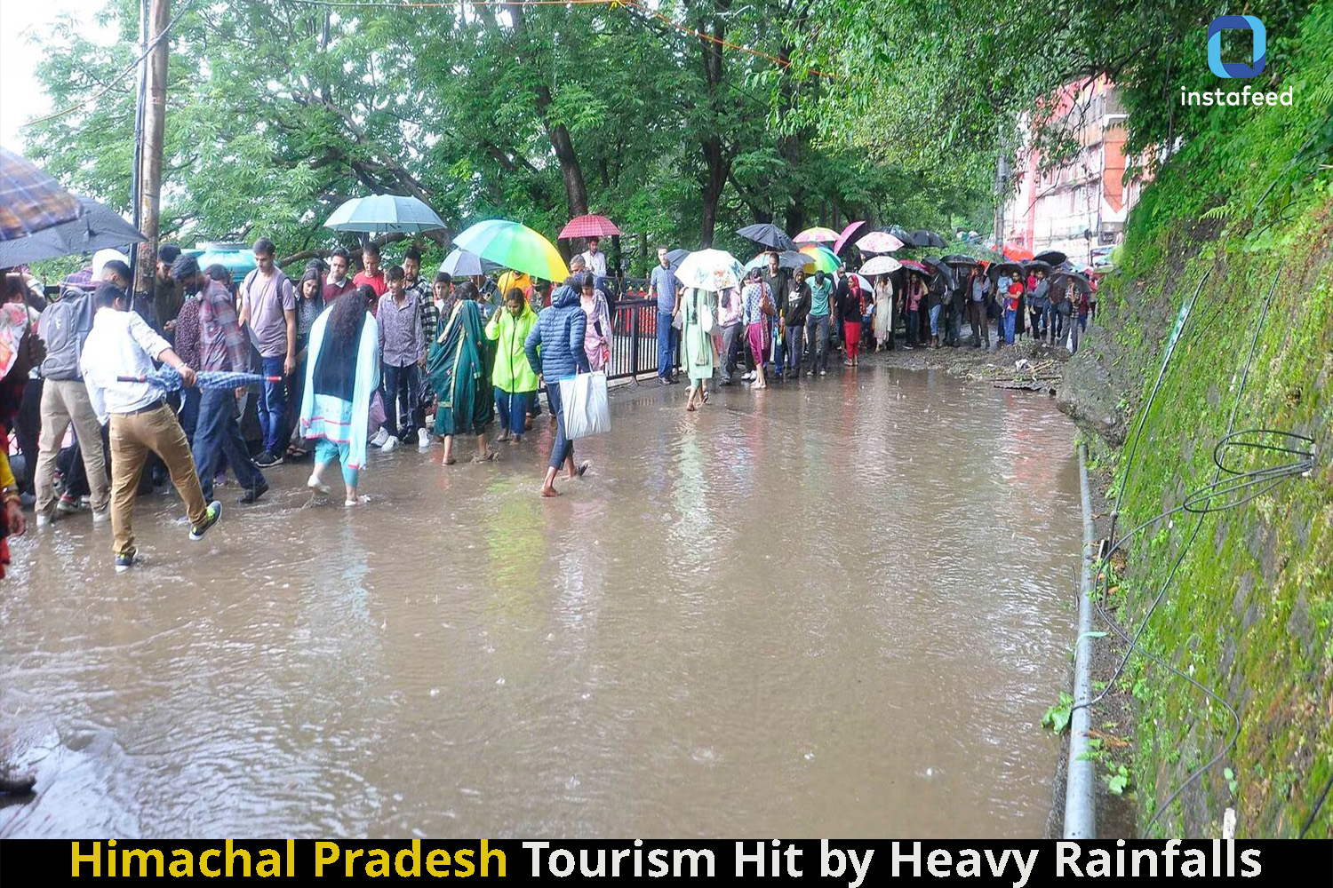 Tourists Cancel Reservations as Heavy Rain Ravages Himachal Pradesh