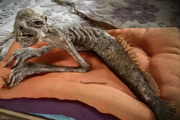 जापान के एक पुराने घर में रेज़र जैसे दांतों और विशाल हाथों वाली, आधी मछली-आधी इंसान जैसी 'डरावनी ममी बनी जलपरी' मिली—जिससे 'कप्पा' की कहानियों को लेकर हलचल मच गई!