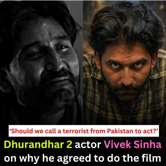 Should We Call a Terrorist from Pak to Act? 'Dhurandhar' Fame Vivek Sinha's Fiery Reply to Massive Backlash Goes Viral!