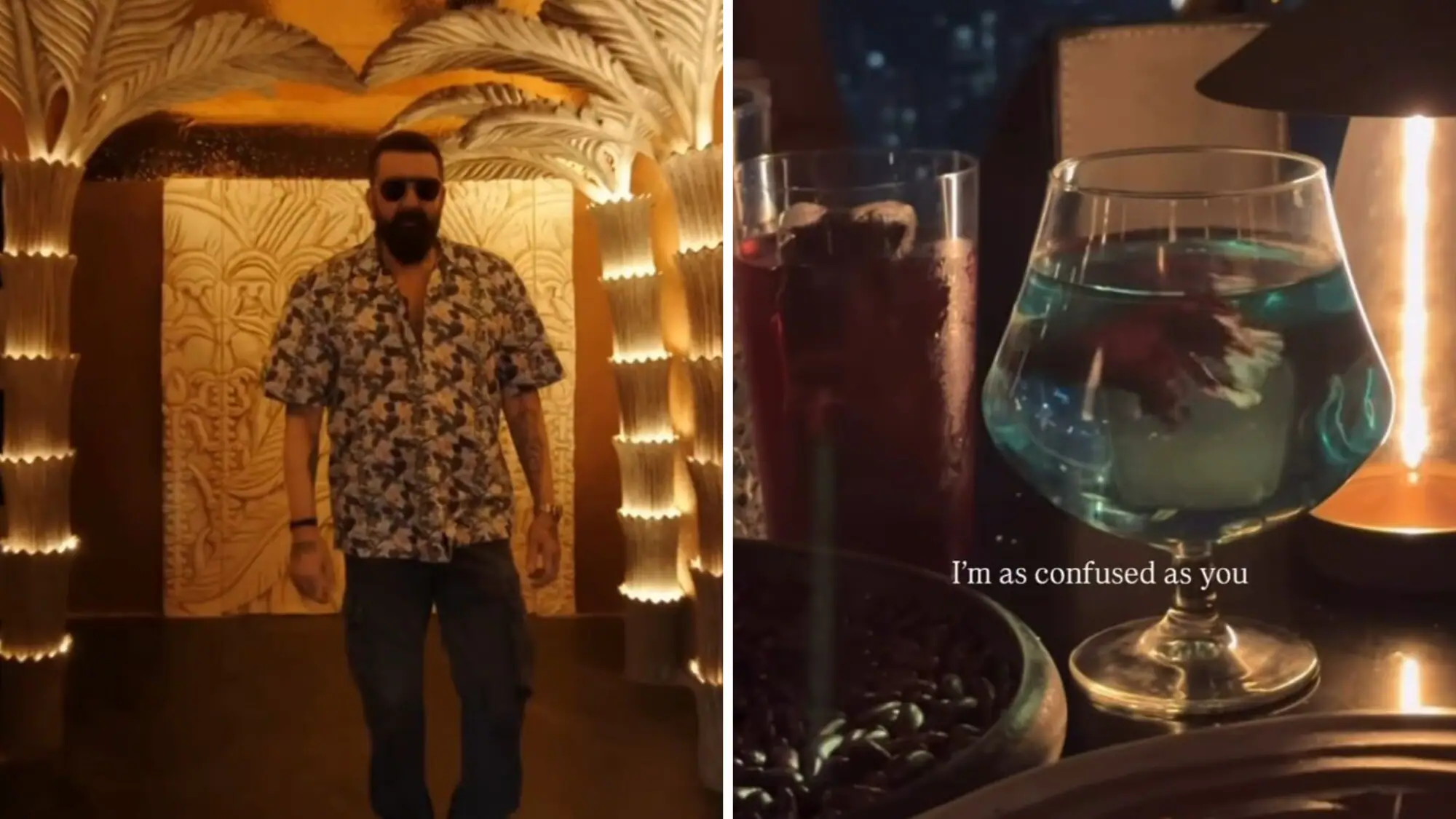 संजय दत्त के मुंबई बार में कॉकटेल में ज़िंदा मछली परोसी गई – जानवरों के प्रति क्रूरता को लेकर भारी विरोध और तुरंत यू-टर्न!