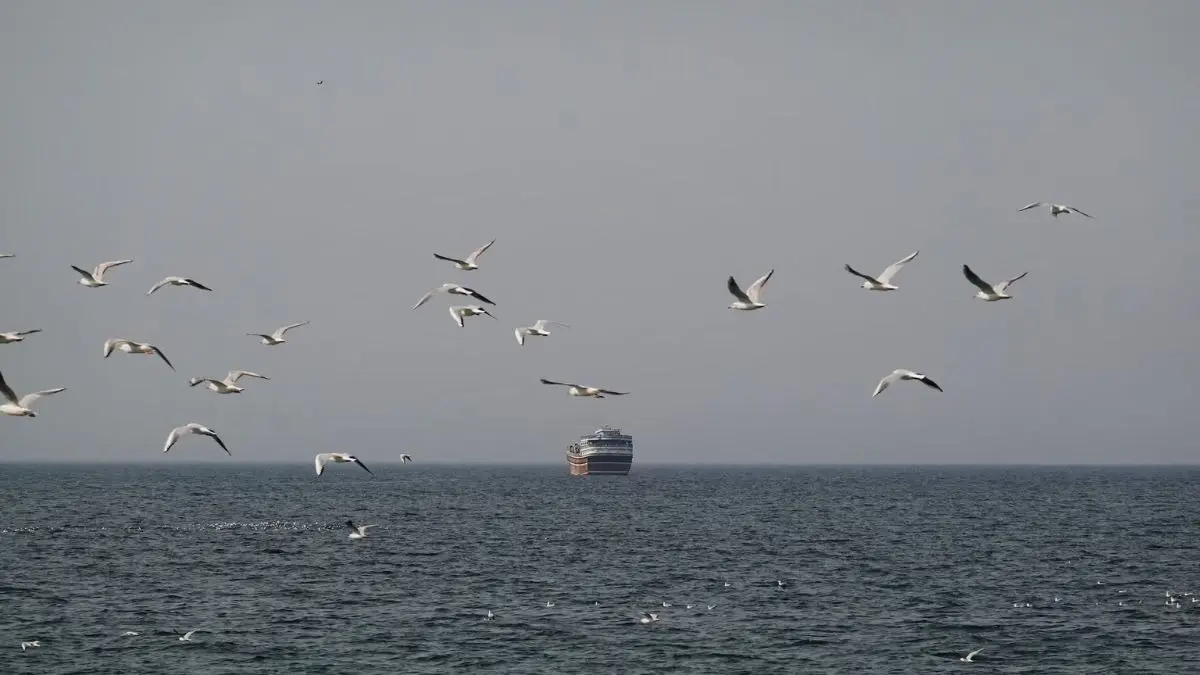 US-ईरान युद्ध: होर्मुज़ जलडमरूमध्य बंद, कच्चे तेल की कीमत $120/बैरल तक पहुंची—भारत में आपके पेट्रोल बिल पर इसका क्या असर पड़ेगा, यहां जानें।