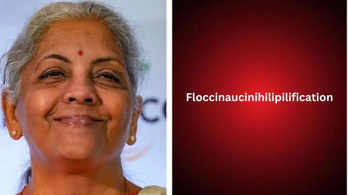 दिल्ली कोर्ट ने निर्मला सीतारमण के खिलाफ मानहानि का केस खारिज करते हुए 29-अक्षरों वाला 'Floccinaucinihilipilification' शब्द इस्तेमाल किया—