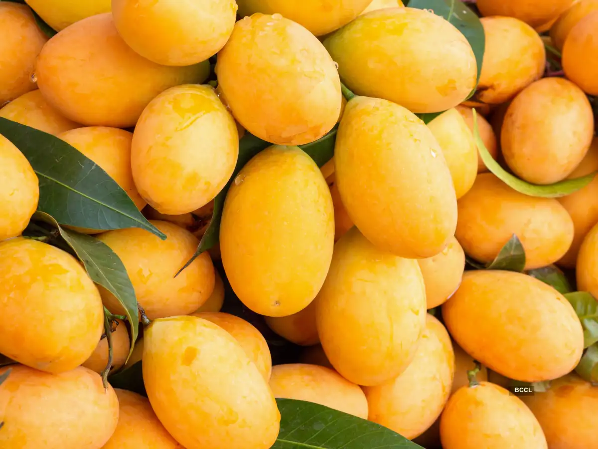 Mango Season Alert: These 5 Easy Tricks Reveal Artificially Ripened Mangoes (Calcium Carbide Exposed) – Stay Safe This Summer!