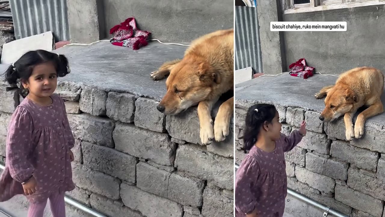 इस छोटी बच्ची की अपने कुत्ते के साथ प्यारी बातचीत आपको सच्चे प्यार पर यकीन दिला देगी!