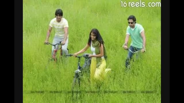 Bhagalpur News: झाझा के पिपराडीह मुसहरी टोला में छोटी माता (चेचक) का प्रकोप, चार बच्चे पीडि़त, परिजनों में चिंता