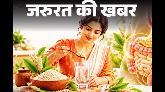 जरूरत की खबर- इसबगोल के 7 जादुई फायदे: कब्ज भगाए, वजन घटाए, ब्लड शुगर भी कंट्रोल करे, न्यूट्रिशनिस्ट से समझ...