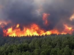 Effects of Continuous Wildfires in Northern California