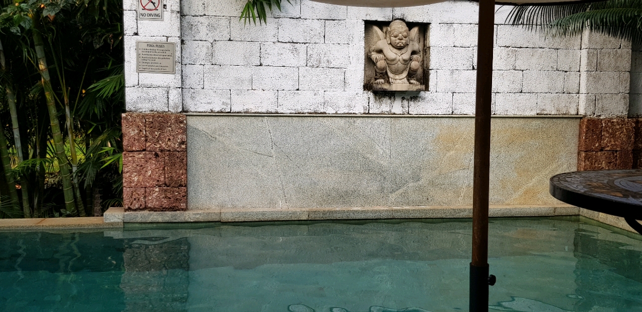 Pretty pool and surroundings