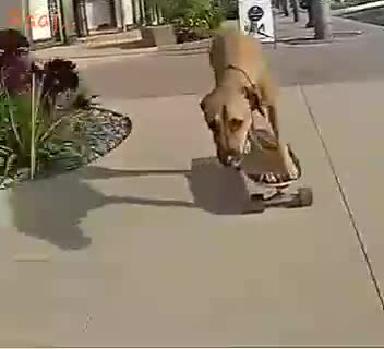 Main Nikla Gaddi Leke