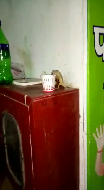 Watch this video and Be careful...