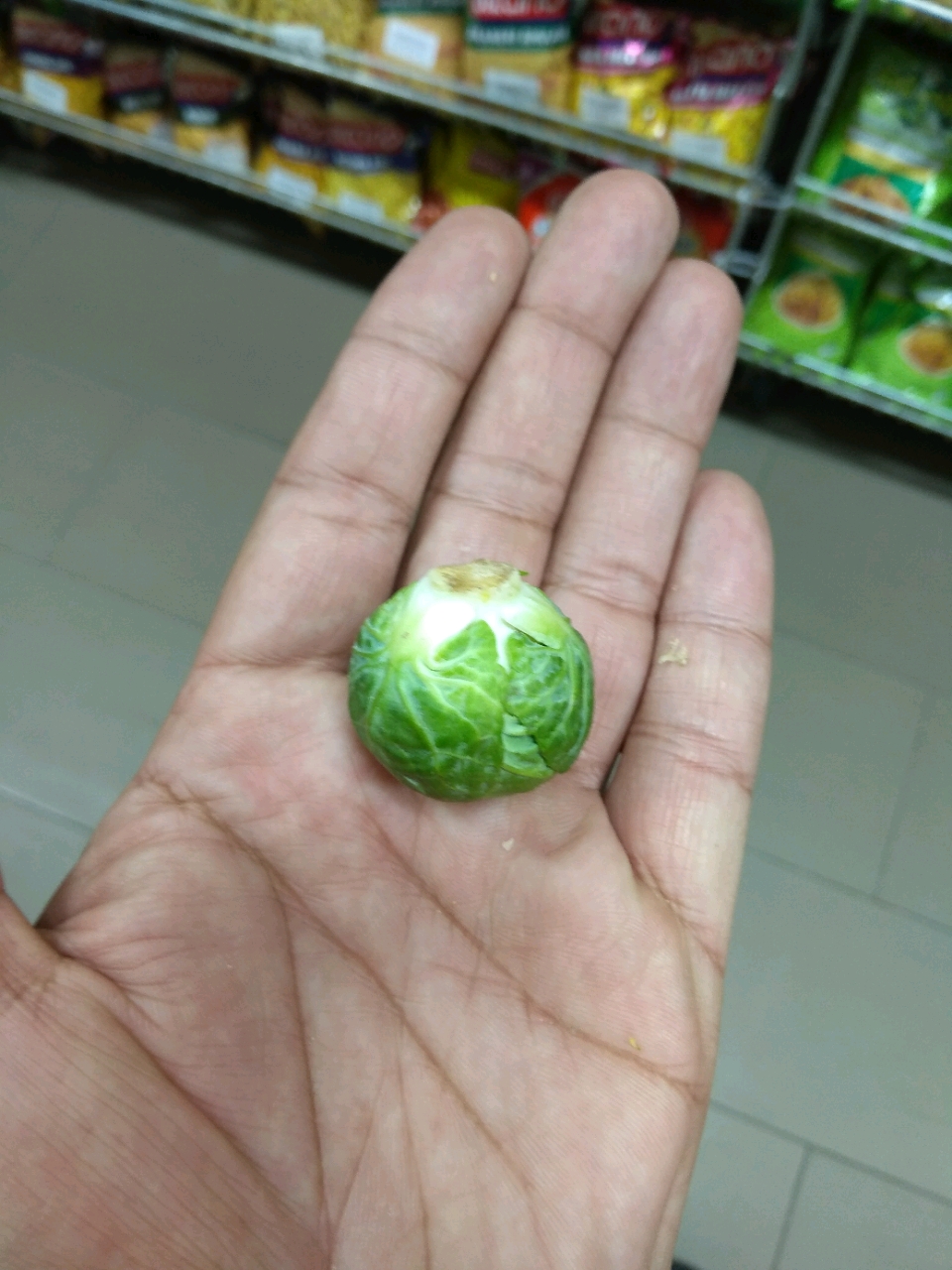 Found the biggest cabbage fron the store