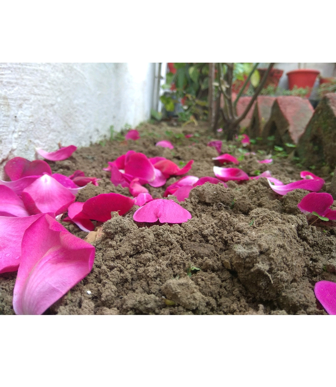 #Madrigal2018 #Instafeed #EnglishdeptDSC #ONERIOS