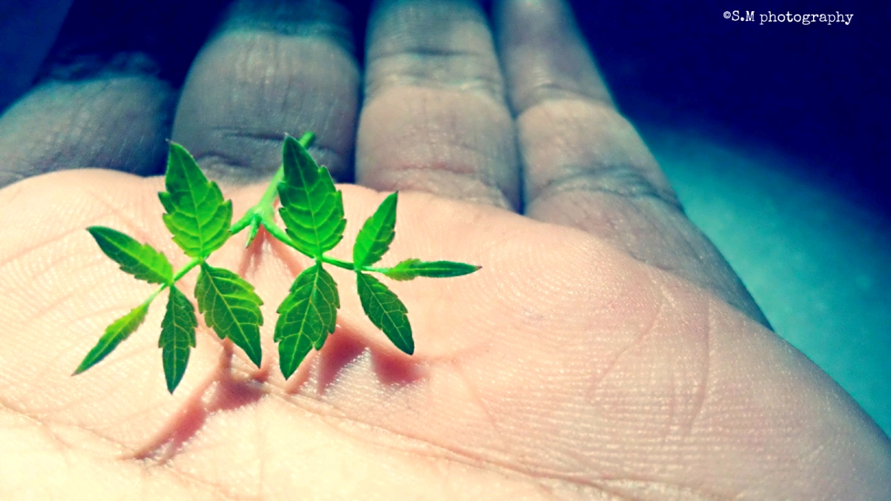 #madrigal2018 #Englishdeptdsc #instafeed #oneiros Sometimes you behold pe