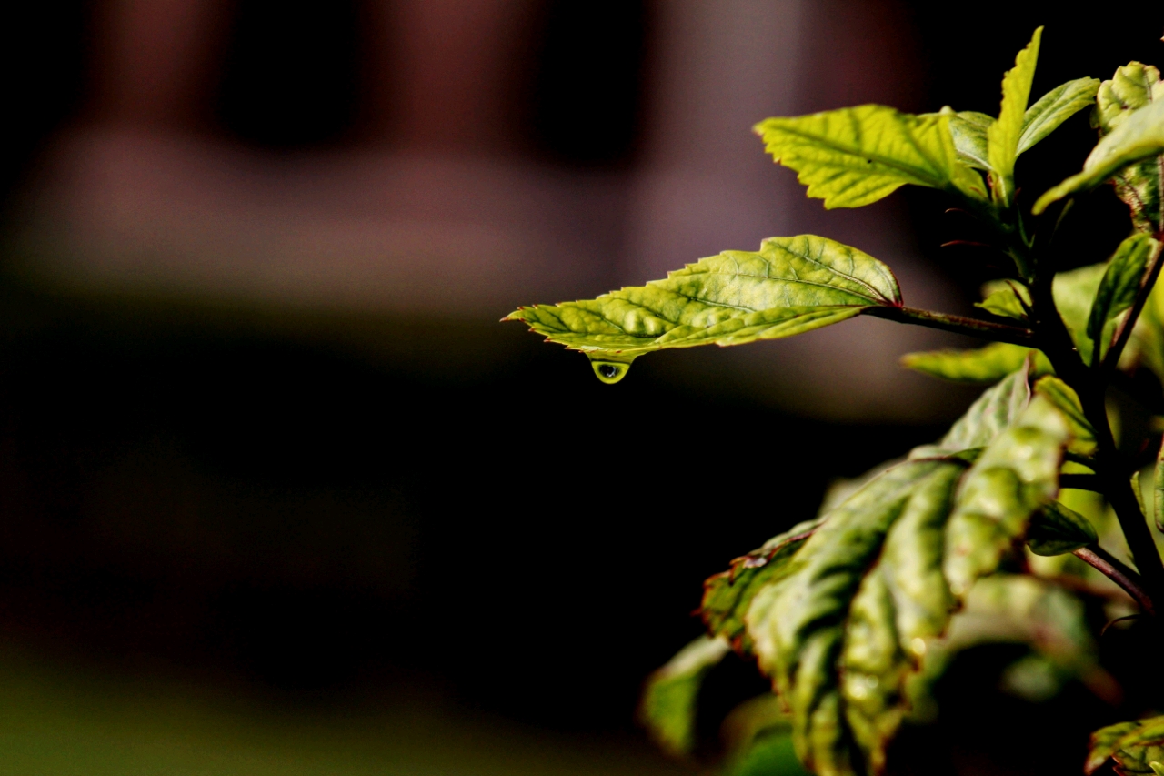 #Instafeed #Madrigal2018 #EnglishdeptDSC #ONEIROS