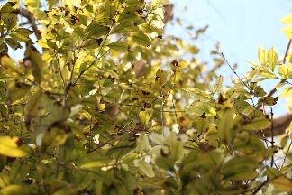 #Instafeed #Madrigal2018 #EnglishdeptDSC #ONEIROS