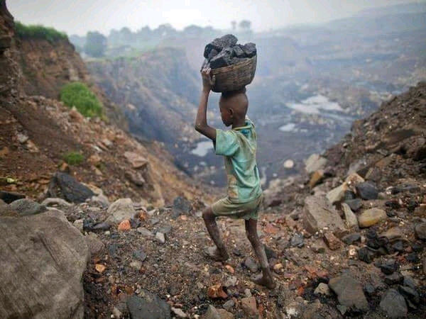 Stop Child Labour !