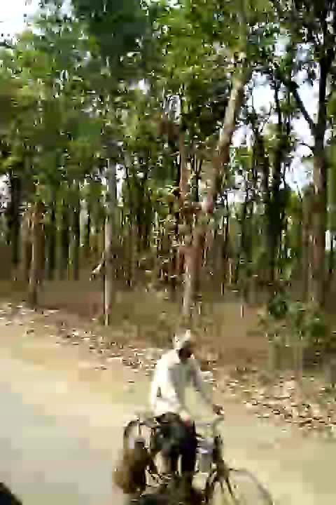 Kusmi Jungle Gorakhpur