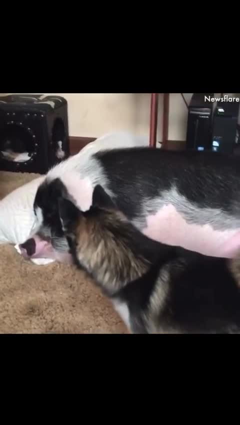 When your partner does not want to wake up