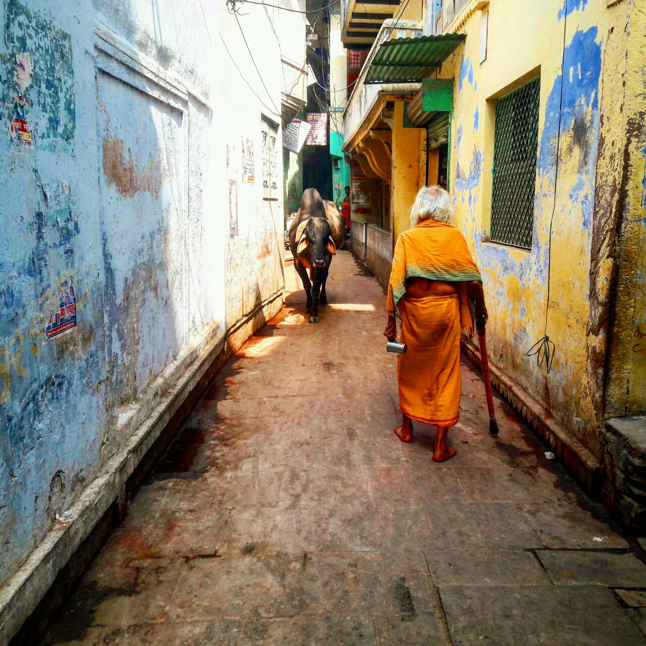 बनारस की गली / नज़ीर बनारसी

हर गाम पे हुशियार बनारस की गली में
फ़ितने भी ह