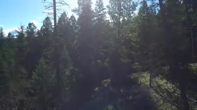 plastic river of Himalaya after rains