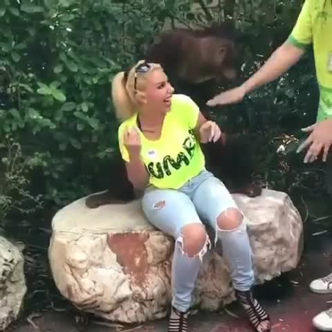 मुहावरा सुना था,,*लन्गुर के हाथ में अगूर,,* आज देख लो।।