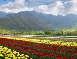 "Gar firdaus bar-rue zamin ast, hami asto, hamin asto, hamin ast."