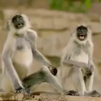 laughter is best medicine