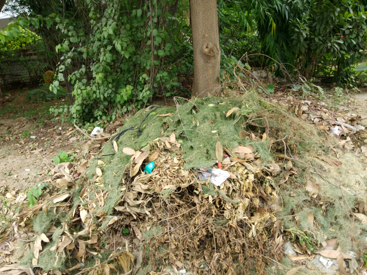 BAD CONDITION OF SECT 15 FARDABAD GARBAGE OF GARDEN WASTE AND NO SERVICE DE