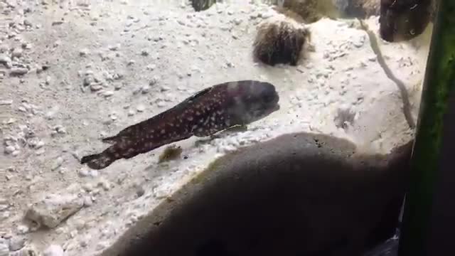 दो पडोसियों के कहीं भी प्राब्लम