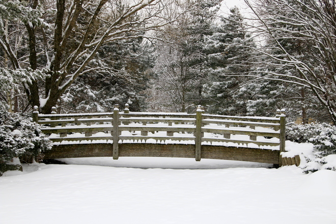 Kariya Park in Canada 