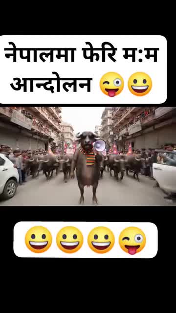 भैंसी हरु को आंदोलन