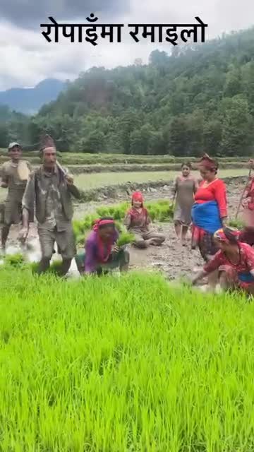 मैलपात रमाईलो हेर्नुहोस् दिदीबहिनी को