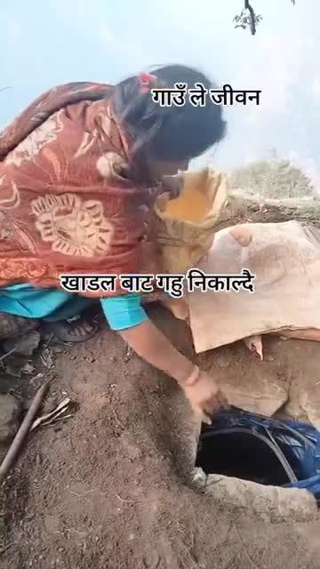 गाउले जिवन