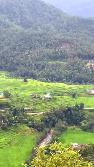किसान टारी गुल्मी