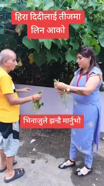 दिदी लिन तीजमा जादा