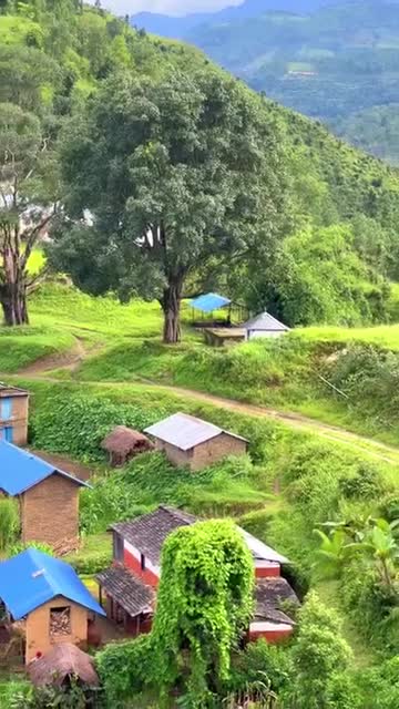 मुलचौर गुल्मी