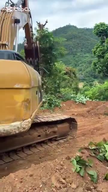 गाउको बिकास