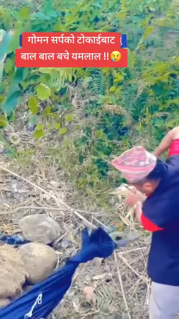 बाल बाल बचे यम लाल