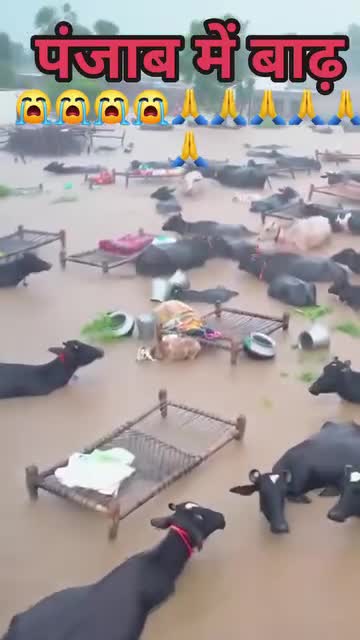 पंजाब मा पानी को वहव