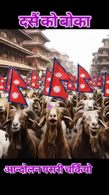 दशै आउनु अहि बोका आन्दोलन मा