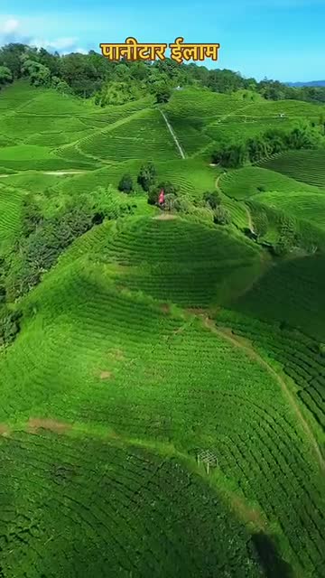 कति राम्रो ईलाम