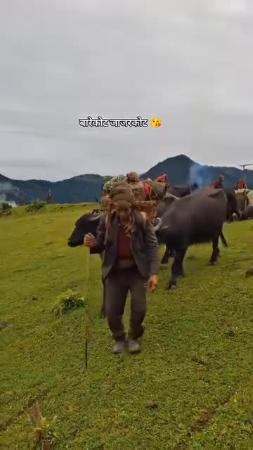 यस्तै छ हजूर