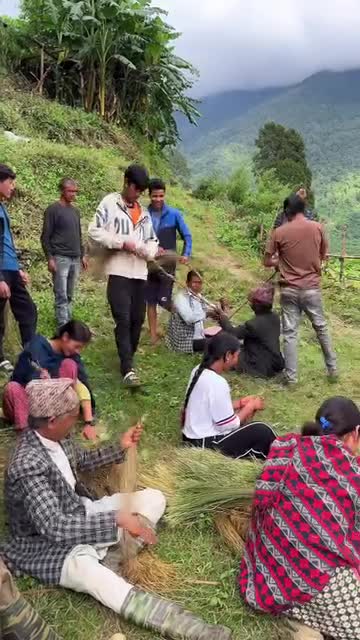 दशैको लागी पिङ को डोरो बाटदै गाऊं घर मा