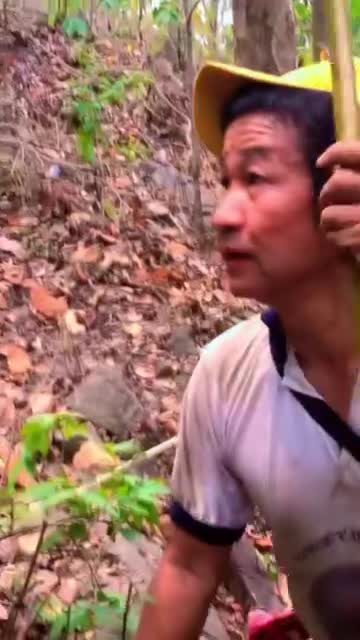 यो कुरा साचो हो