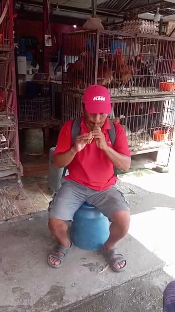 पोखरा चिप्लेढुगा