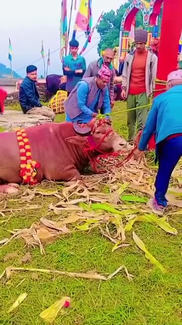 देहमाणु निलाशैनी भगवती मांता