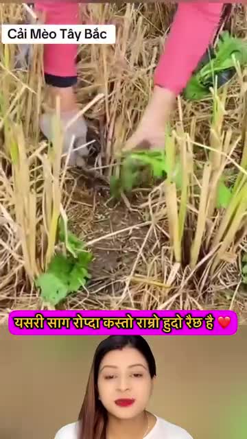 कति राम्रो साग