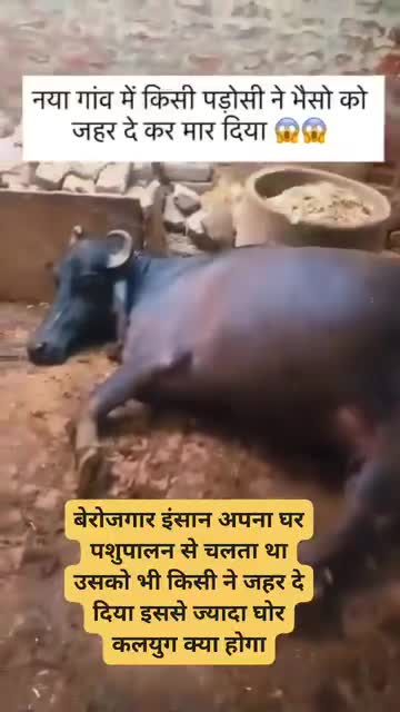 यो मा कस्ता कस्ता मान्छे हुन्छन