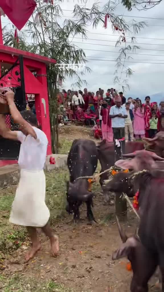 संस्कार