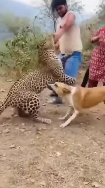 बैताडी मा एक गोर्खाली युवा